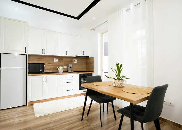 Bonzo Homes * Tirana