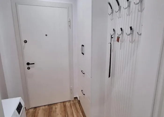 Bonzo Homes * Tirana